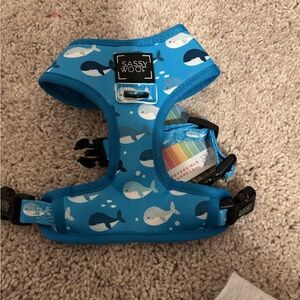 Blue and White whale summer harness reverse-able! Brand new never worn.